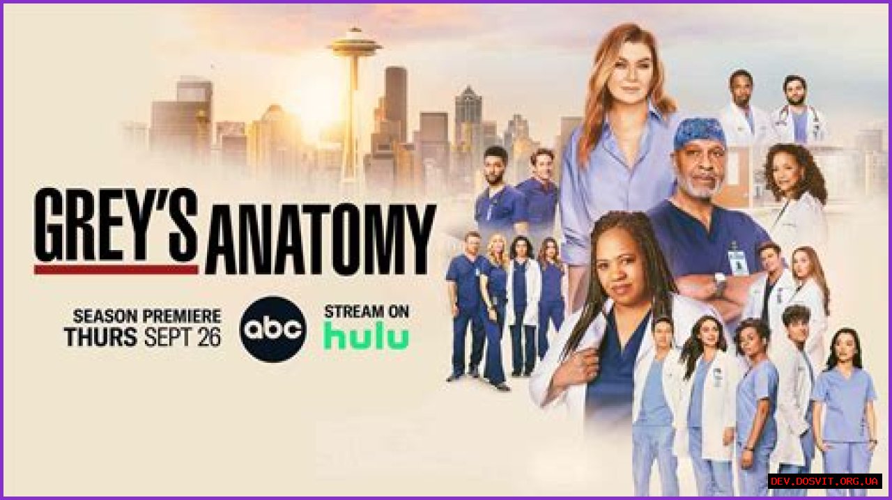 Exploring The Grey's Anatomy 5 Rules: A Guide To Life And Medicine