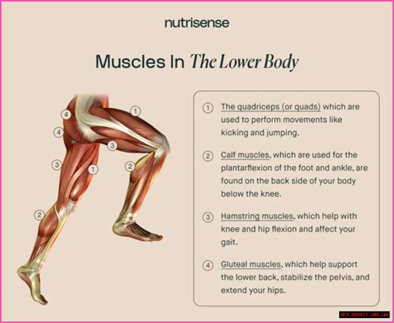 Track Google Ranking: An All-Inclusive Guide To Strengthen Your SEO Approach.