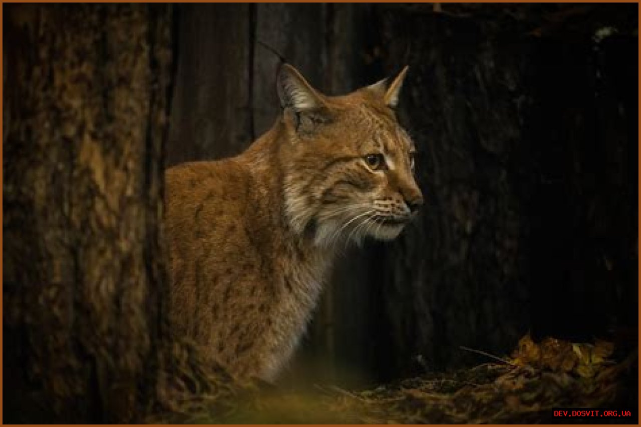 Uncover The Enigmatic Height Of Bun B: Insights And Revelations Await