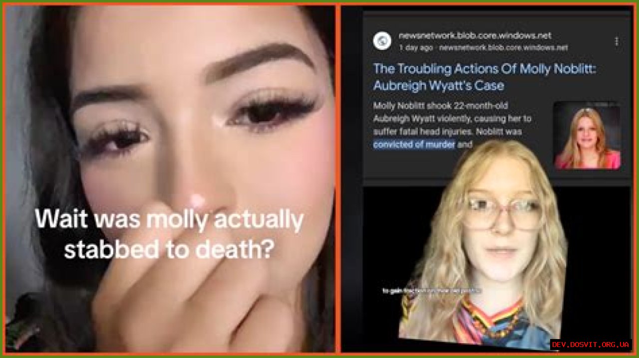 Unmasking The Shadows: Exploring Aubreigh Wyatt Bullies Names